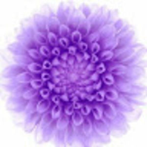 Meet your Posher, Mariya